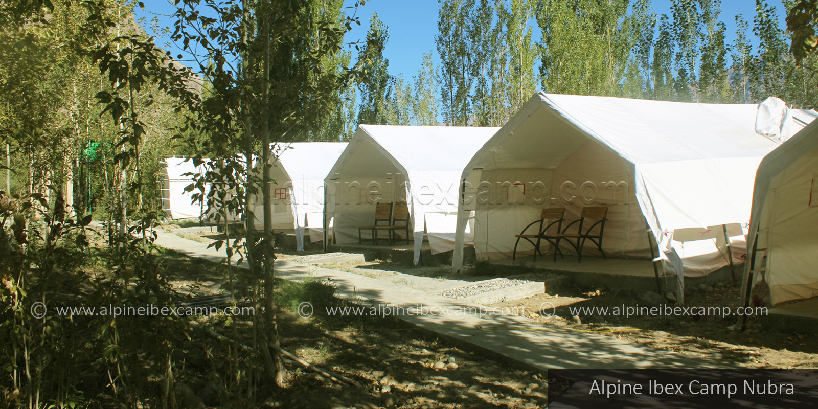 Alpine Ibex Camp Nubra